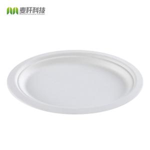 Quality Wholesale disposable plate green bagasse pulp food plates wholesale
