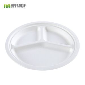 Quality 10&quot; Round 3-Compartment natural sugarcane fiber Plate wholesale