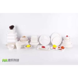 Quality Eco-Friendly 100% Compostable Sugarcane/Bagasse Heavy Duty container wholesale