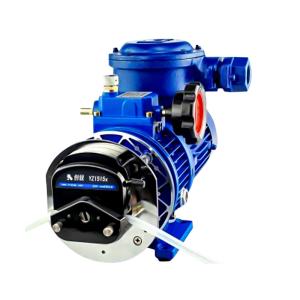 Quality Electric Explosion-proof Peristaltic Pump wholesale