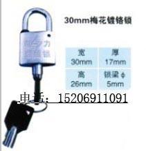 30 plum chrome lock