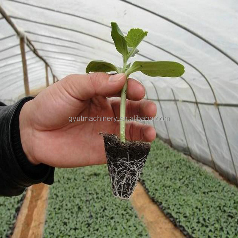 Effortless Seeding of Vegetable Seeds with Automatic Seed Sowing Planting Machine