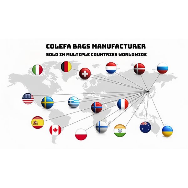 Custom wholesale travel mochilas crossbody USB laptop backpack unisex waterproof 15.6'' convertible backpack shoulder bag