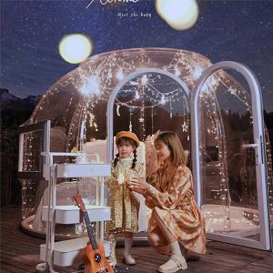 Quality ISO See Through Bubble Tent Security Assurance Camping Bubble Dome wholesale