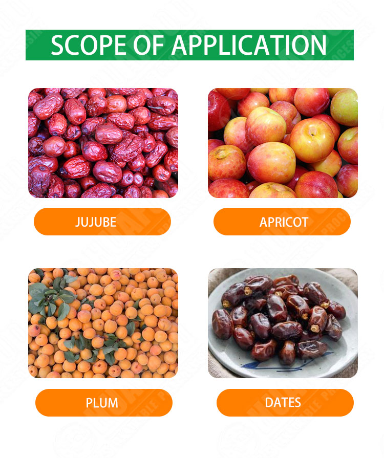 Industrial use fruit stone coring seed removing plum olive cherry pitting machine