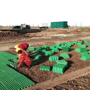 Quality HDPE Black Green White Plastic Planting Grass Paver Grid for Parking Lot and Driveway wholesale