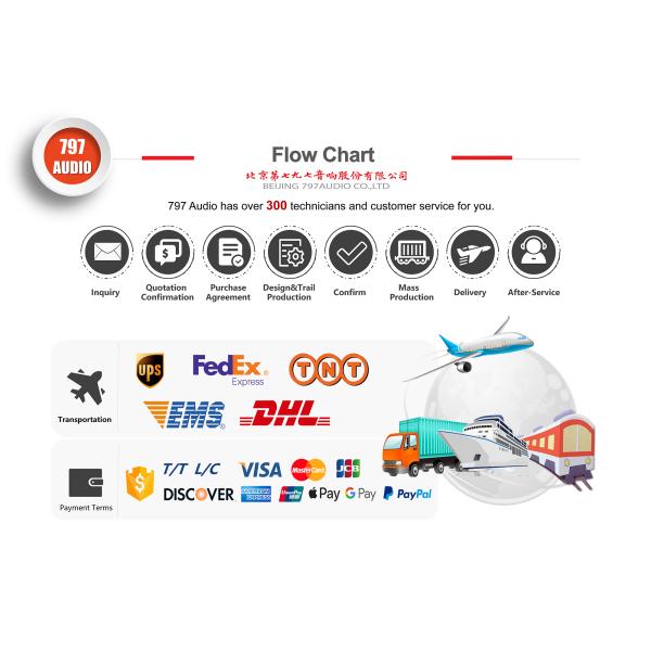 797Audio PSU100 Microphone Power Supply Switching Charging 48V Phantom for XLR Condenser Microphone NEW Design