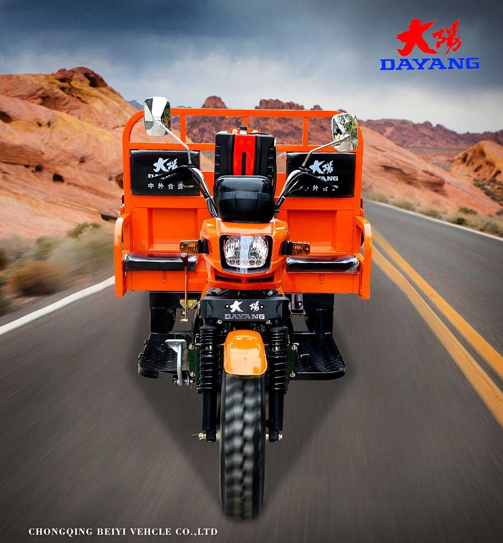 2016 DAYANG 200cc/250cc/300cc Three Wheel Motorized Cargo Tricycle with 5.00-12 Tires