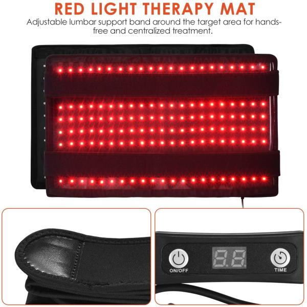 ODM 660nm / 850nm Infrared Red Light Therapy Belt For Horse Pain Relief
