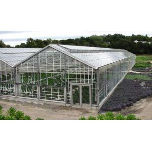 UP Ventilation Muti Span Sunshade PC Sheet Greenhouse