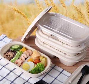 China 100% Compostable Disposable Eco Packaging Food Grade Sugarcane Pulp Lunch Box on sale