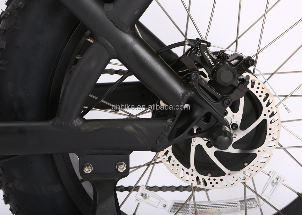 Stylish 20" 48V 500W Brushless Rear Motor Wheel 4.0 Fat Tire Electric City Chopper Bike