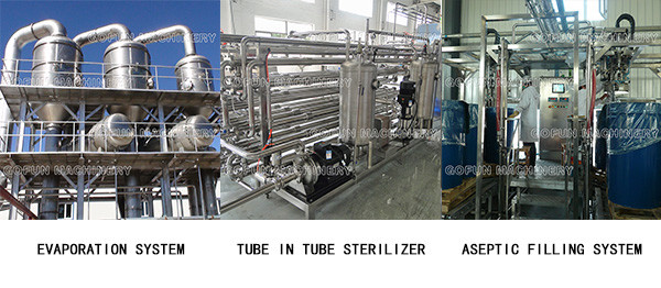 304 Stainless Steel 600T/D Tomato Processing Line