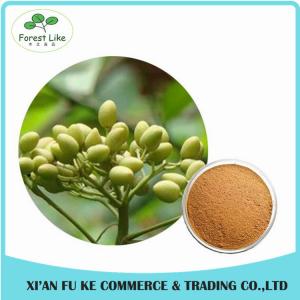 Quality Bulk Quantity Pure Natural Insecticide Neem Seed extract wholesale