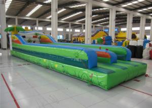 Quality Attractive Inflatable Bungee Jump / Runway , Kindergarten Baby Bungee Run Bounce House wholesale