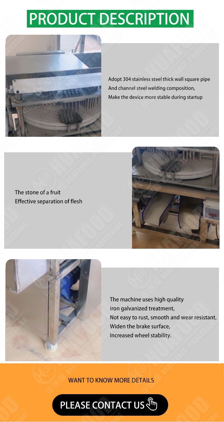 Industrial use fruit stone coring seed removing plum olive cherry pitting machine