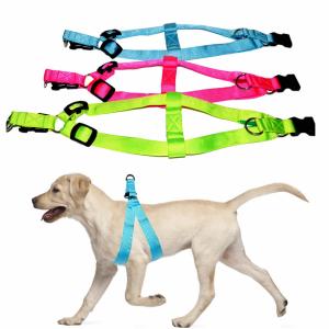 Quality LED Light Up Dog Harness Night Waterproof Pet Vest OEM ODM Available wholesale