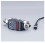Adjustable 4 - 20mA RS485 Water Pump Pressure Switch