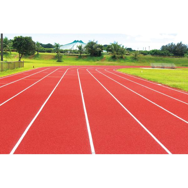 CS Carbon Structure Running Track And Field Surface With Olympic Blue Color