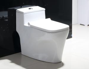China Back To Wall Bathroom Dual Flush Rimless Toilet Floor Mounted on sale