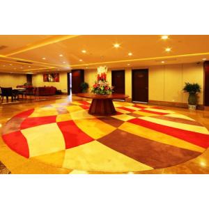 Quality 100% Nylon Hotel Contemporary Area Rug , Axminster Printed Carpet wholesale