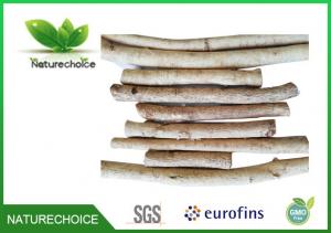 China Astragalus whole root / Huangqi /Dried Astragalus Root Organic Astragalus Membranaceus: on sale