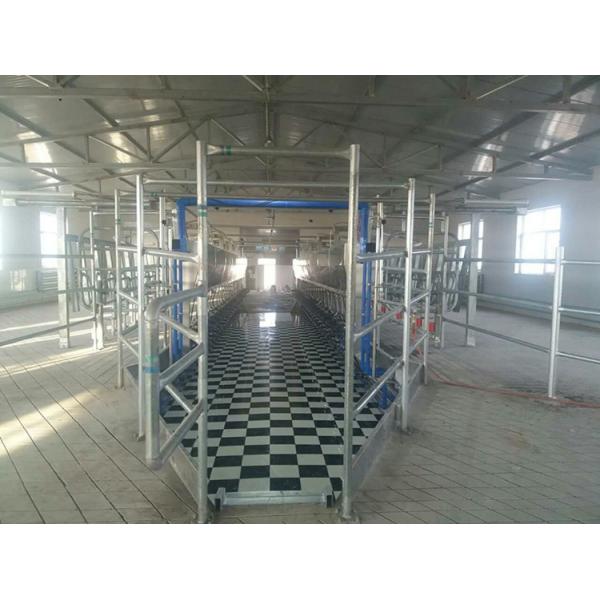 Plant Goat Cow Herringbone Milking Parlor Electronic Meter Equipment