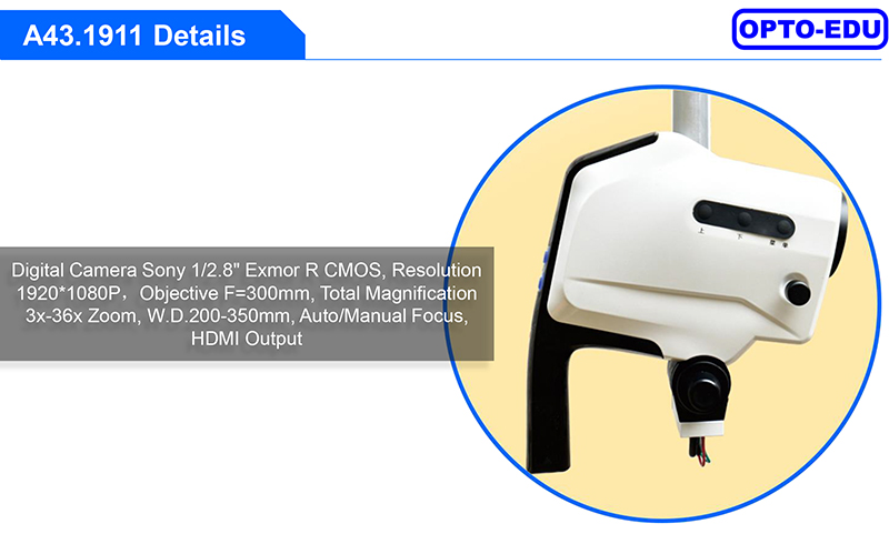 A43.1911 Video Colposcope Digital Continuous Zoom 3x-36x