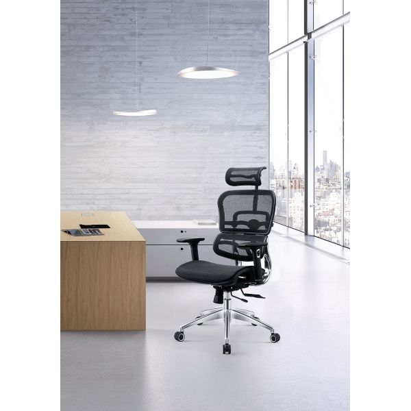 Manager Office Ergonomic Computer Chair Revolving With Sliding Mechanism