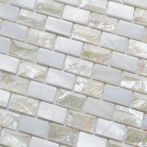 China Sea shell Mosaic Freshwater Shell Mixed White Abalone Shell Mosaic Square Pieces 10x20mm on sale