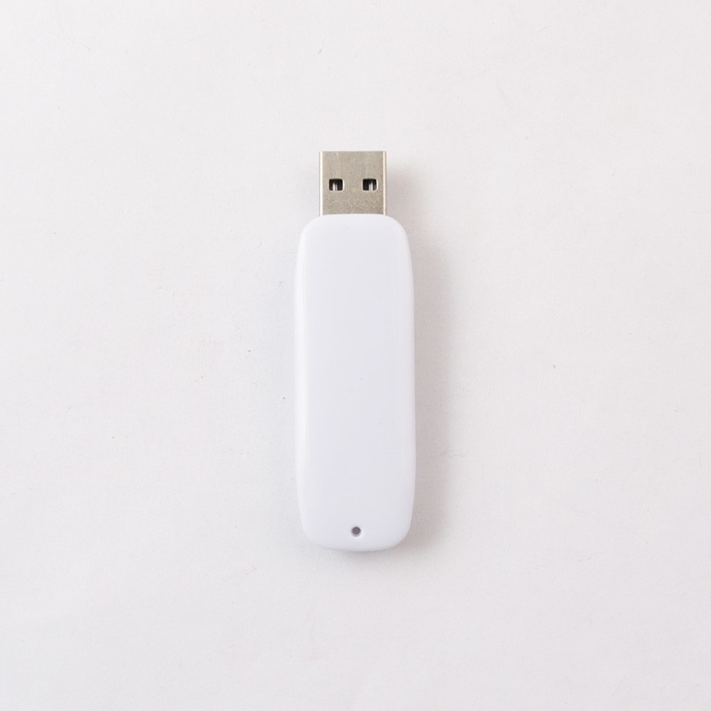 1G/ 2G/ 4G/ 8G/ 16G/ 32G/ 64G/ 128G/ 256GB/ 512GB/ 1TB Plastic USB Flash Drive