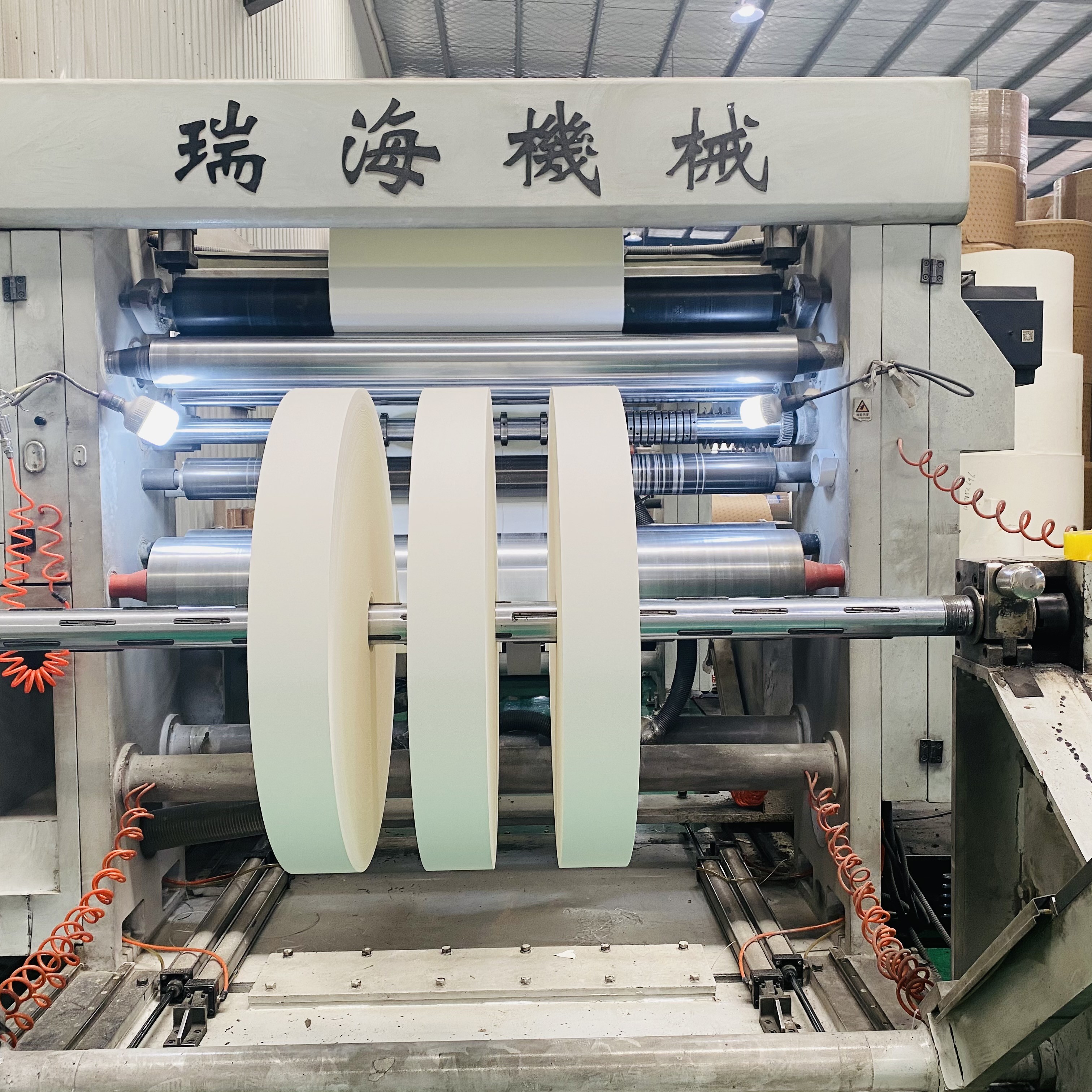 Food Grade Paper Cup Bottom Roll Single PE Coated 100% Virgin Wood Pulp