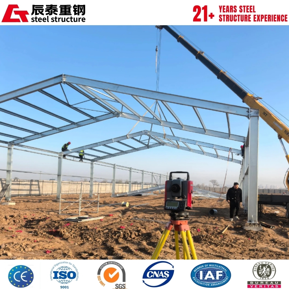 H-Section Steel Structure Livestock Greenhouse with Glass Walls