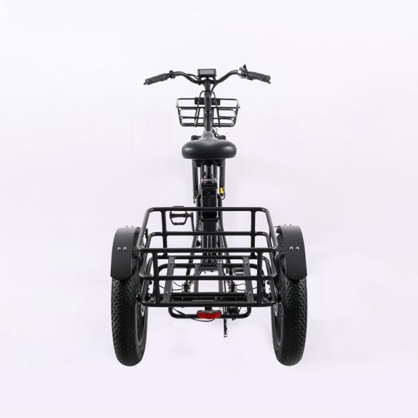 Wholesaler Adults 750w/500W 3 Wheel Electric Cargo Tricycle with Aluminium Alloy Fork
