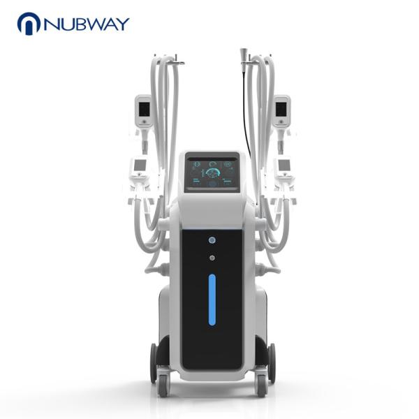 Hot sell Best selling!!! Cryolipolysis Machine /Cryolipolysis Fat Freezing