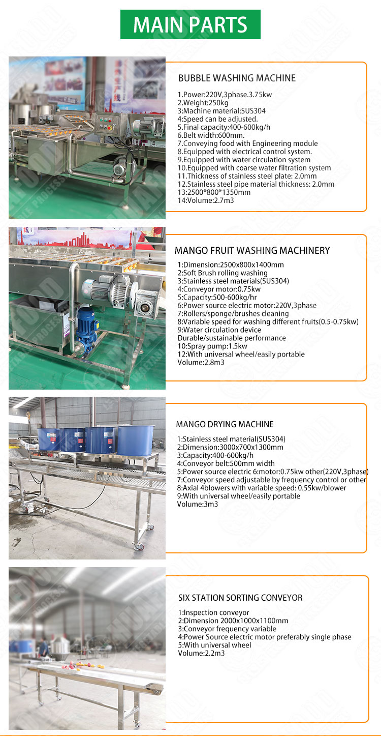 Farm Lemon Fruit Washing Waxing Drying Sorting Machine Production Line