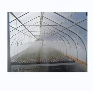 Quality Green Vegetable Tunnel Greenhouse With Easy Assembly And 150/200micro Film wholesale
