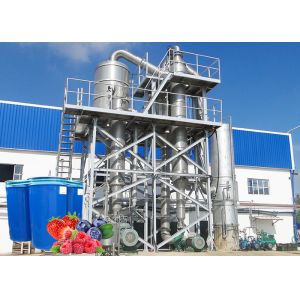 Quality Professional Berry Processing Equipment / Fruit Jam Processing Machinery wholesale