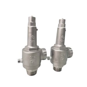 Threaded DN15 CF8 Cryogenic Fall Lift Safety Valve