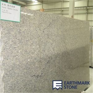 Quality Giallo Cecilia Granite Slab wholesale