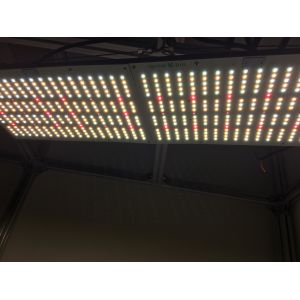 660nm 240W Full Spectrum LED Grow Lights for Vegetable