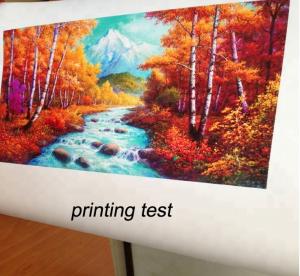 China Printable glossy oil/polyester/cotton waterproof canvas for solvent,eco-solvent,pigment,dye,compatibility printing machi on sale