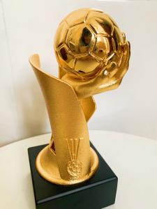 Quality Handball Custom Engraved Trophy As Prizes For Winners In Hand Ball Game wholesale