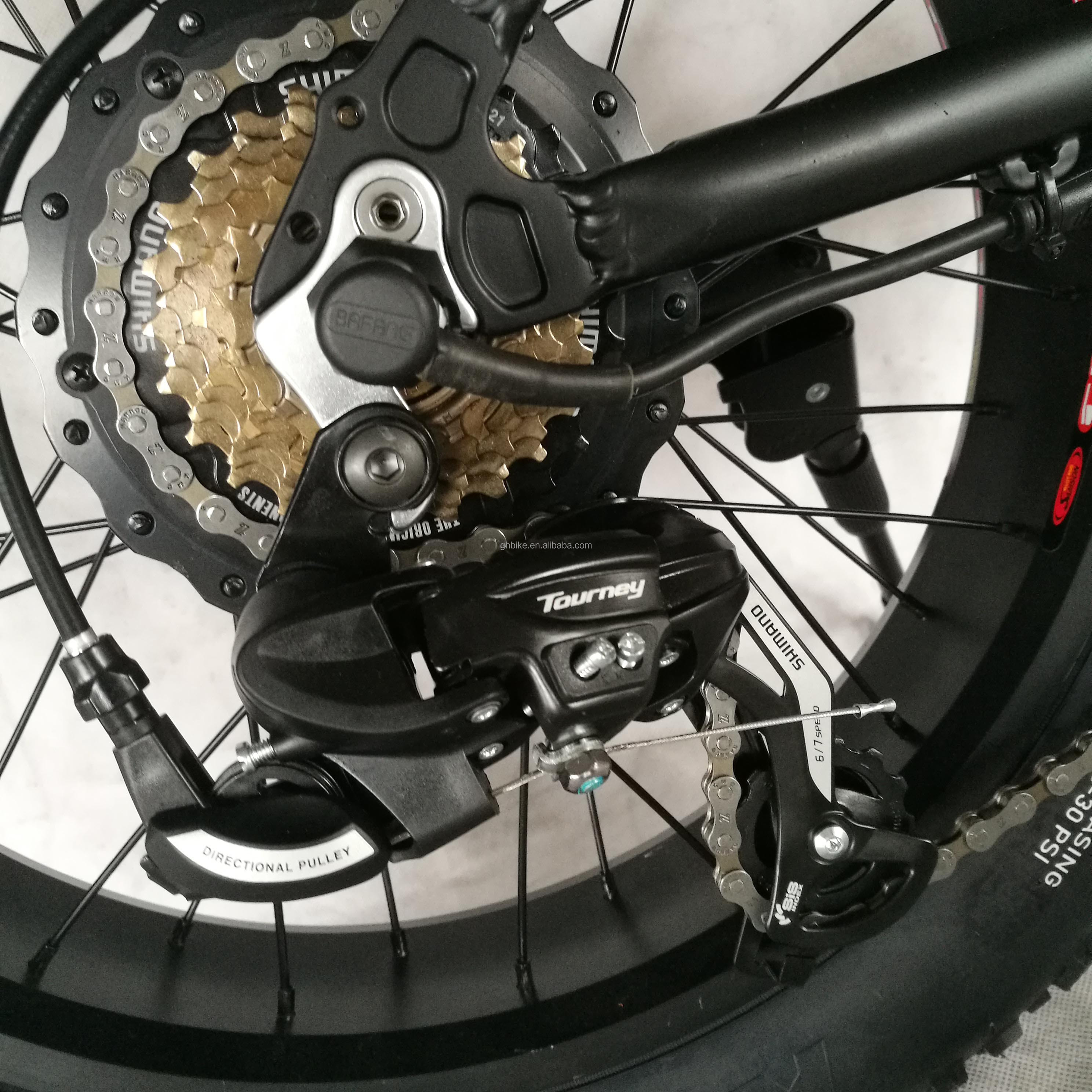 20" Snow Tire Electric Mountain Bicycle with 48V 750W Motor and 14AH Lithium Battery