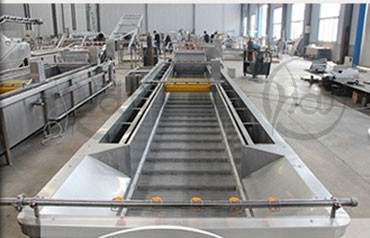 Fruit and vegetable washing and drying machine with high quality