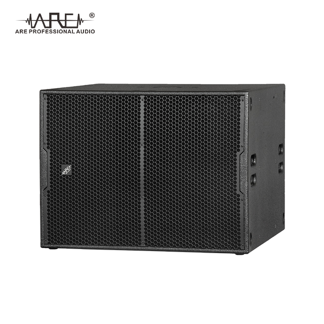 ARE AUDIO dual 10 inch passive outdoor line array speaker system with DSP control