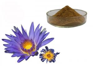 Quality Nymphaea Caerulea Flower Powder Blue Lotus Organic Herbal Extracts wholesale