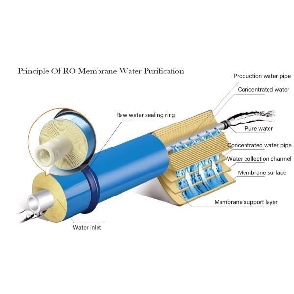Automated Reverse Osmosis Water Purification Machine With Pump & PLC Control
