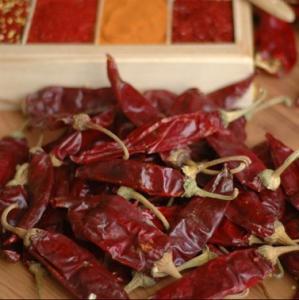 China Experience The Richness Of Mild Yidu Chili Dried Chilies 7-15cm Length Spicy 200g on sale