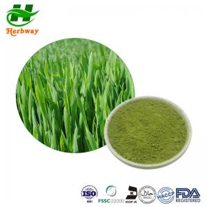 Quality Barley Grass Powder Barley Seedling Powder Barley Grass Juice Powder Hordeum Vulgare Linn wholesale